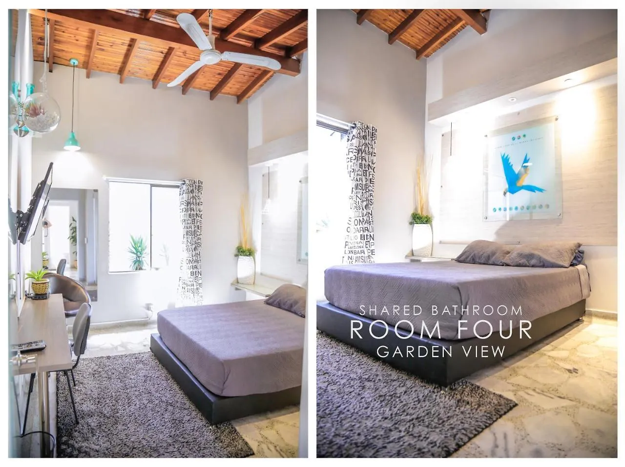 Хостел Chic House Loft Медельин 0*,  Колумбия